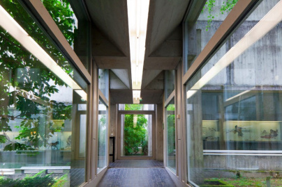 Visites guidées et animations pour toute la famille au Musée de Préhistoire d'Ile de France