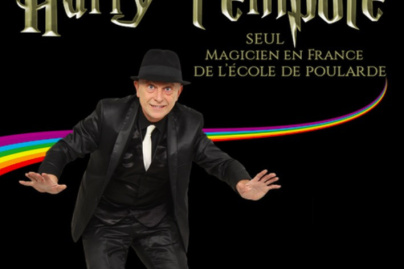 Harry l'empoté au Théâtre Darius Milhaud 