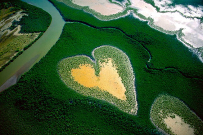Rétrospective Yann Arthus-Bertrand sur le toit de la Grande Arche