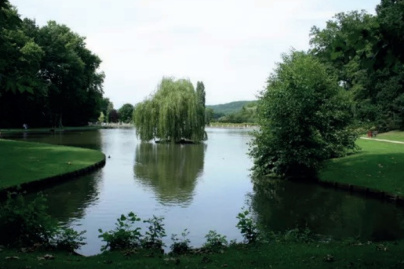 FestivAl'OUT 2019 à Saint-Rémy-lès-Chevreuse