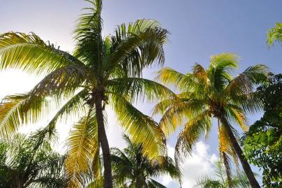 La finale de Koh Lanta sera à nouveau diffusée en deux parties