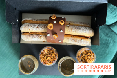 La Très chouette Bûche et les choux de Noël Bulliz 2021