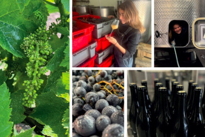 Les Vignerons Parisiens, véritable chai de vinification et initiation à l’œnologie en plein Paris