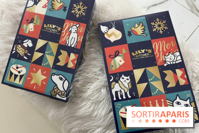 Les calendriers de l'Avent 2023 pour chiens et chats de Lily's Kitchen