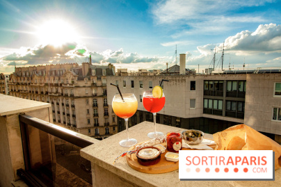 The Lounge Bar View du Novotel Vaugirard