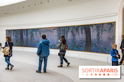 Les Nymphéas et artistes abstraits au Musée de l'Orangerie