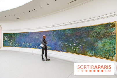 Les Nymphéas et artistes abstraits au Musée de l'Orangerie