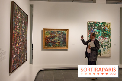 Les Nymphéas et artistes abstraits au Musée de l'Orangerie