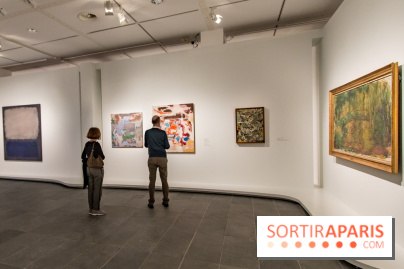 Les Nymphéas et artistes abstraits au Musée de l'Orangerie