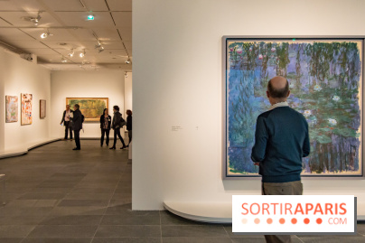 Les Nymphéas et artistes abstraits au Musée de l'Orangerie