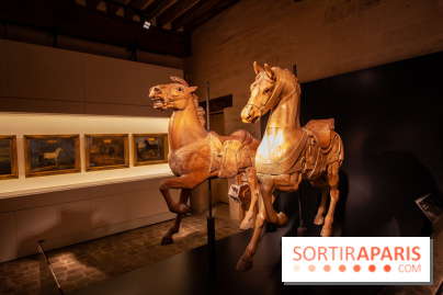 Nature, le spectacle équestre à Chantilly
