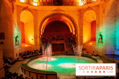 Nature, le spectacle équestre à Chantilly