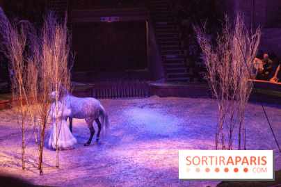 Nature, le spectacle équestre à Chantilly