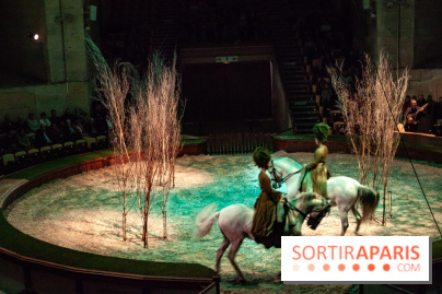 Nature, le spectacle équestre à Chantilly
