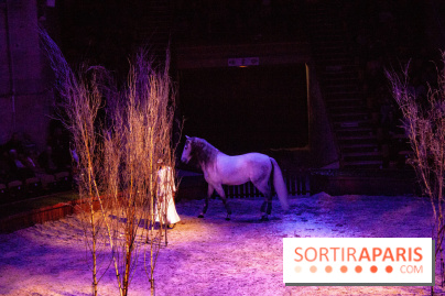 Nature, le spectacle équestre à Chantilly