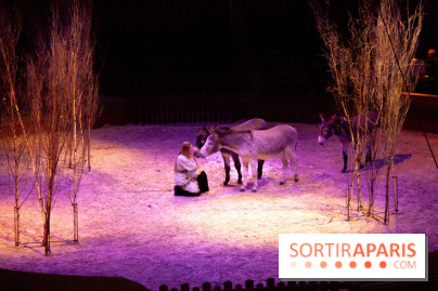 Nature, le spectacle équestre à Chantilly