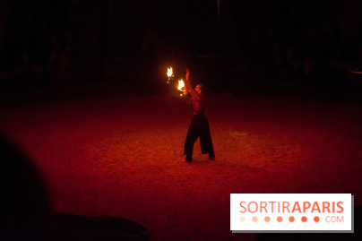 Nature, le spectacle équestre à Chantilly
