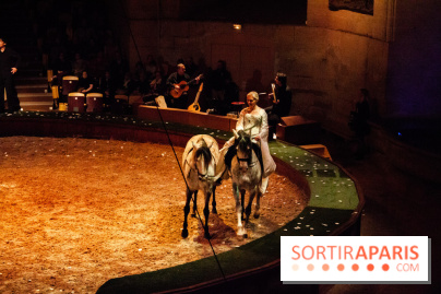 Nature, le spectacle équestre à Chantilly