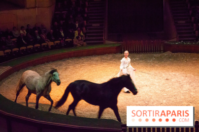 Nature, le spectacle équestre à Chantilly