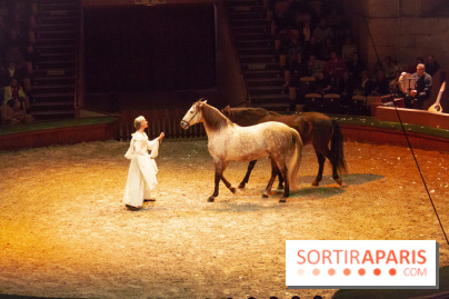 Nature, le spectacle équestre à Chantilly