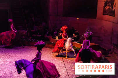 Nature, le spectacle équestre à Chantilly