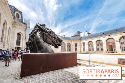 Nature, le spectacle équestre aux Grandes Ecuries du Domaine de Chantilly