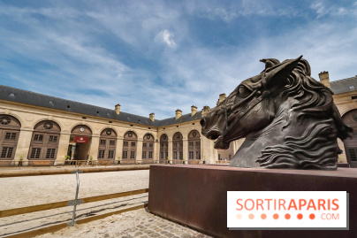 Nature, le spectacle équestre aux Grandes Ecuries du Domaine de Chantilly