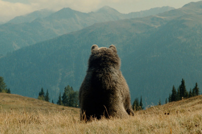 L'Ours, l'inoubliable film de Jean-Jacques Annaud ressort au cinéma en version restaurée