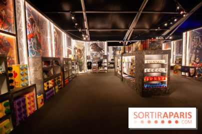 L'exposition LEGO des Super-Heros DC à la Villette