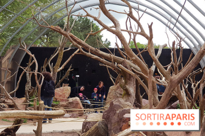 Zoo de Thoiry 2018 : les photos