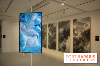 1, 2, 3, Data : les photos