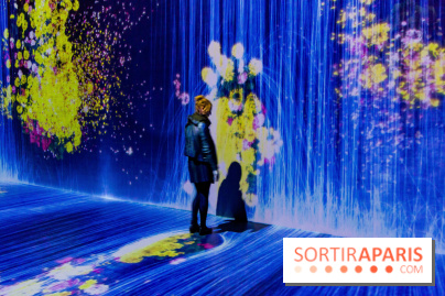 Teamlab : au delà des limites à la Villette, les photos