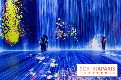Teamlab : au delà des limites à la Villette, les photos