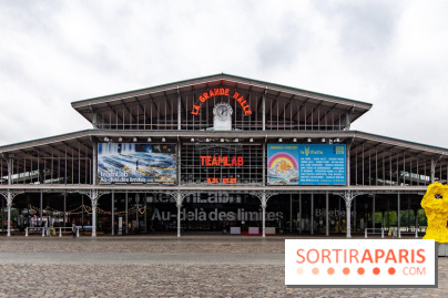 Teamlab : au delà des limites à la Villette, les photos