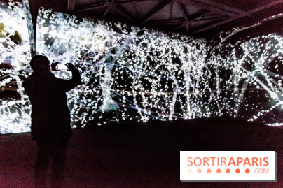 Teamlab : au delà des limites à la Villette, les photos