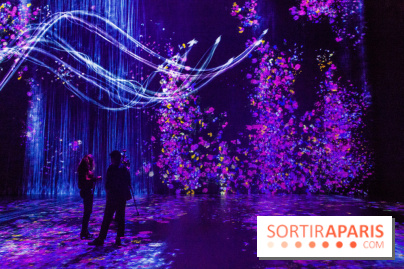Teamlab : au delà des limites à la Villette, les photos
