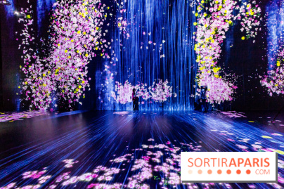 Teamlab : au delà des limites à la Villette, les photos