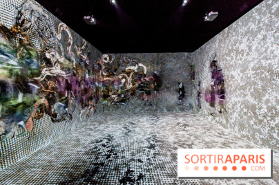 Teamlab : au delà des limites à la Villette, les photos