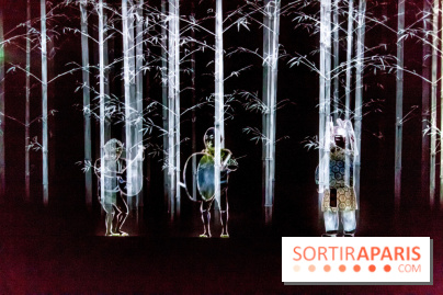 Teamlab : au delà des limites à la Villette, les photos