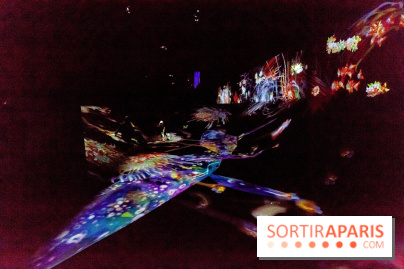 Teamlab : au delà des limites à la Villette, les photos