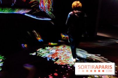 Teamlab : au delà des limites à la Villette, les photos