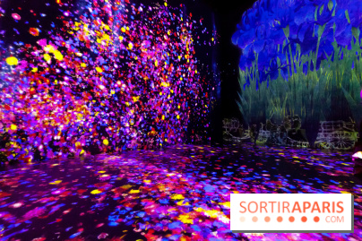 Teamlab : au delà des limites à la Villette, les photos