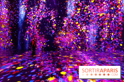 Teamlab : au delà des limites à la Villette, les photos