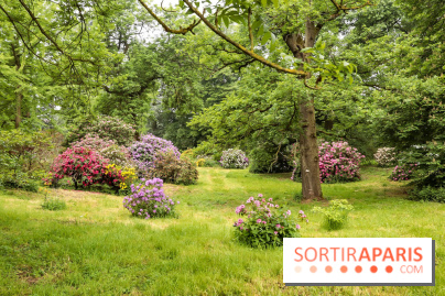 L'Arboretum de Versailles - Chevreloup