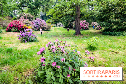 L'Arboretum de Versailles - Chevreloup