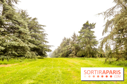 L'Arboretum de Versailles - Chevreloup