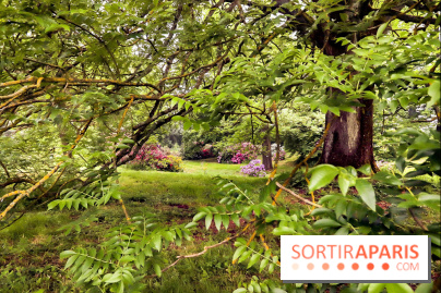 L'Arboretum de Versailles - Chevreloup