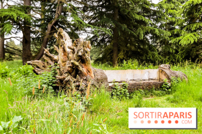 L'Arboretum de Versailles - Chevreloup