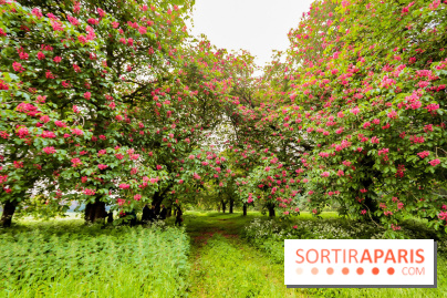 L'Arboretum de Versailles - Chevreloup