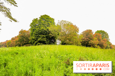 L'Arboretum de Versailles - Chevreloup